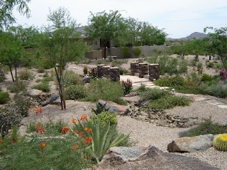 Phoenix Rental Home - Landscape Maintenance: Who is responsible?